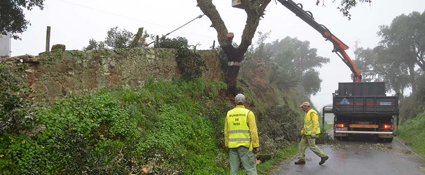 Abate de Árvore previne acidentes junto ao Tarabau
