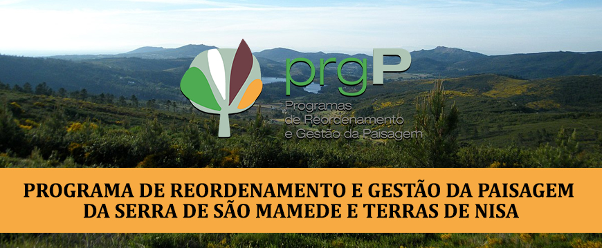 aviso prgP