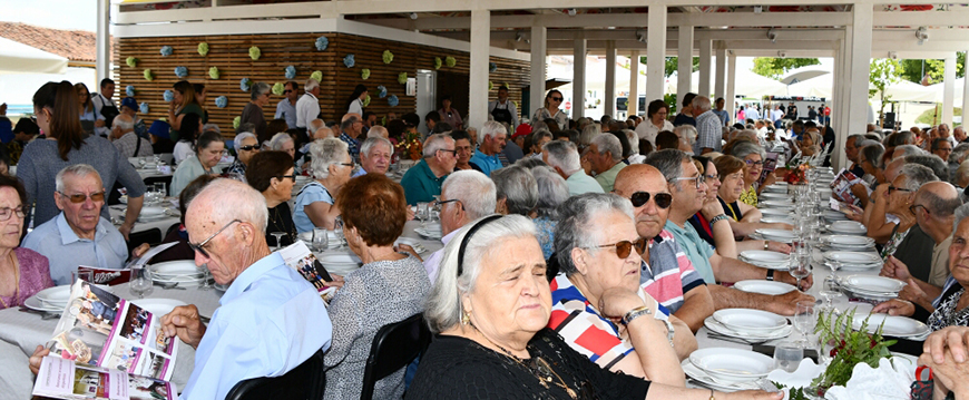 convivio avos
