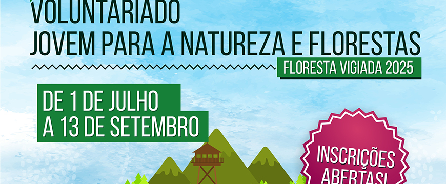 voluntariado p