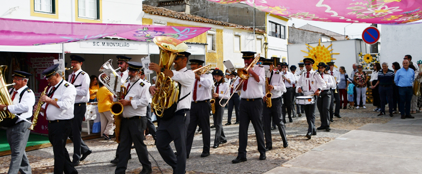 feira mel fotos