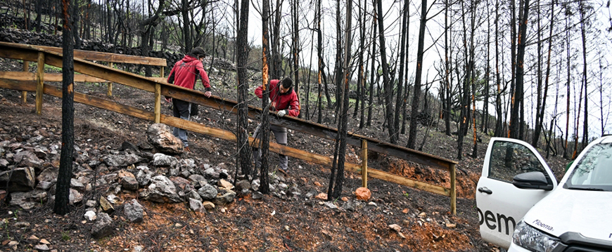 Município de Nisa reabilita PR5NIS e envolvente à Anta dos Saragonheiros pr5 manutencao