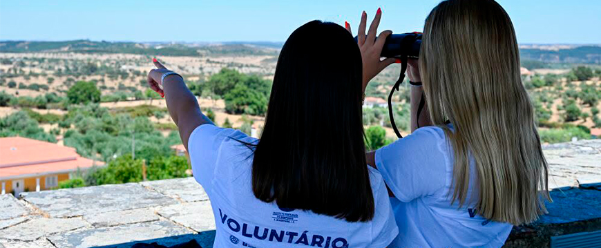 3º Turno | Floresta Vigiada 2026 3turno floresta