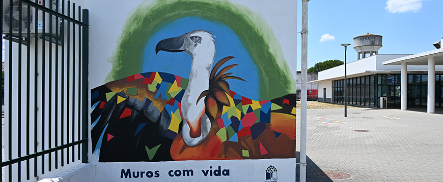 muros c vida
