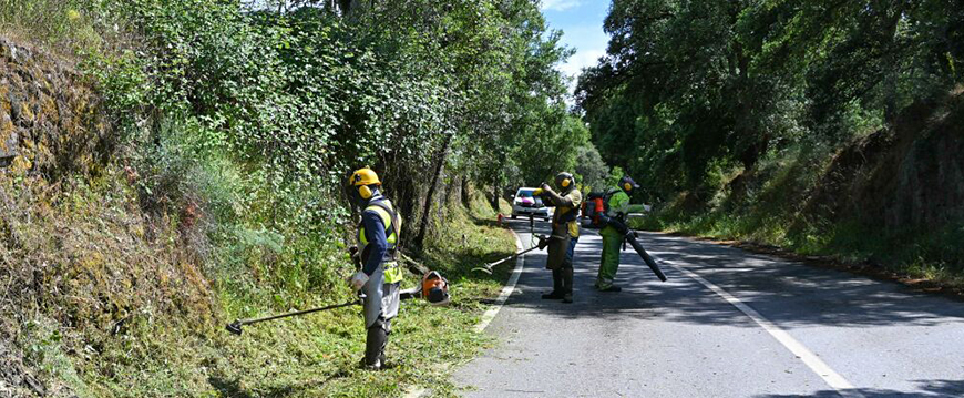 limpeza estradas municipais