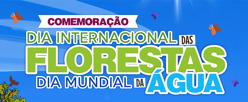 dia floresta aguag