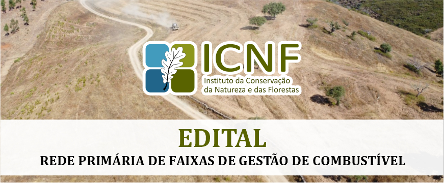 edital icnf site
