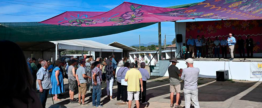 feira mel