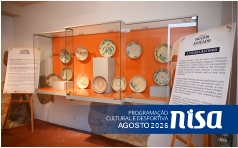 miniatura site