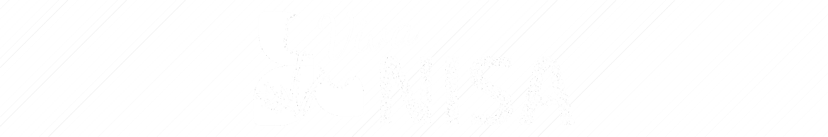banner viva nisa